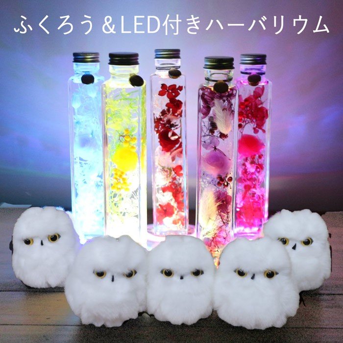 サウンドアレンジ ハーバリウム LEDふくろう