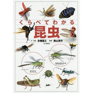 山と渓谷社 くらべてわかる昆虫 (くらべてわかる図鑑)